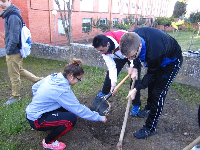 apadrina un arbol4